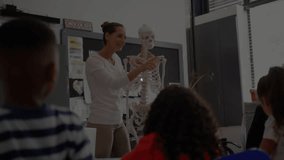 Education teacher gesturing at skeleton skull while overlay expanding and rotating joints. Educational, anatomy, classroom, science, collaborative, instructional, digital - Powered by Shutterstock - Get 15% off with code: PIKWIZARD15