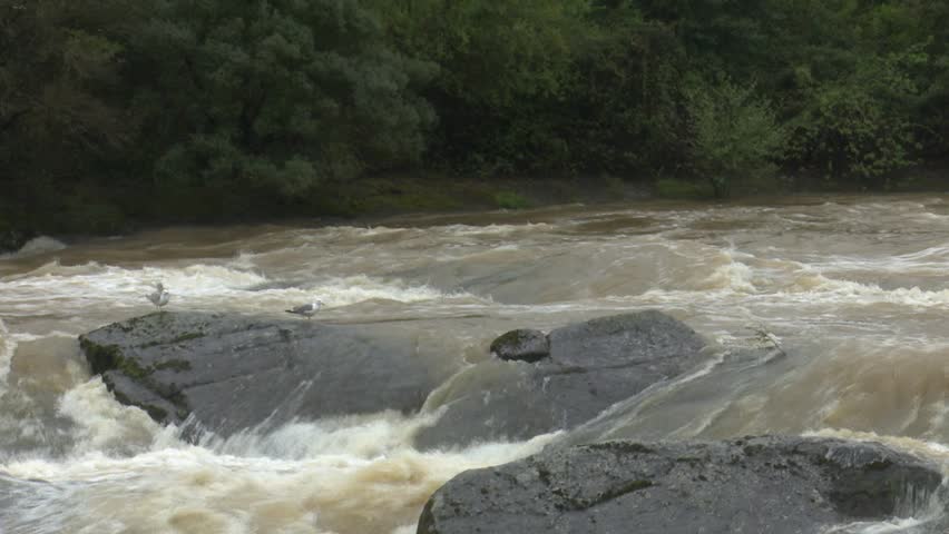 After days of relentless rain, the Cadagua River surges through Alonsotegi with an intensity rarely seen. Its waters, normally calm as they wind between the town’s bridges and wooded banks, now rush forward in a powerful torrent, churning in shades of brown and white. The swollen current crashes against rocks and river walls, carrying branches and debris as a reminder of the storm’s force. In the misty air, the roar of the river dominates the landscape, capturing a raw and dramatic moment in this Basque valley as nature briefly reclaims its strength