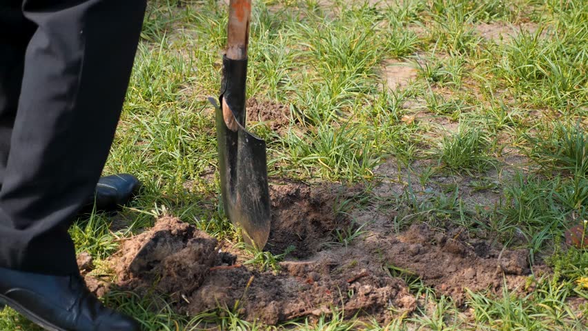 Person wearing black formal trousers and leather shoes uses metal shovel to dig hole in green grassy ground during outdoor ceremonial tree planting event.