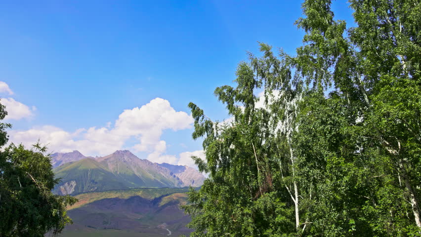 Mountain landscape features tall green birch trees beneath a blue sky. White clouds drift peacefully, creating a serene and picturesque outdoor scene.