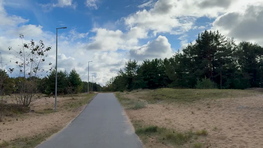 Empty Asphalt Bike and Walking Path Through Pine Forest Under Cloudy Blue Sky