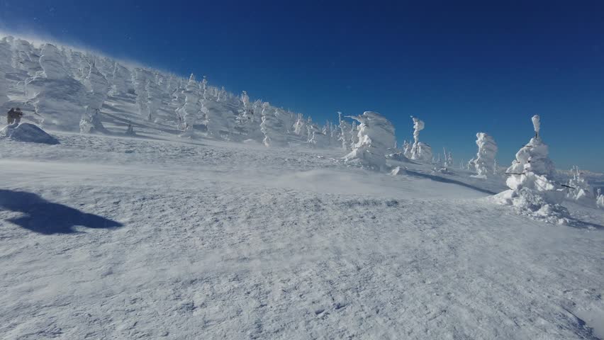 View of Juhyo forests (frozen trees, snow monster) by the cable car station on the snowy mountainside under sunny winter sky on a bright, clear winter day in Zao, a famous skiing and Onsen (hot spring) resort in Yamagata, Japan.

This dramatic footage captures the "snow monsters" of Mount Zao in Japan