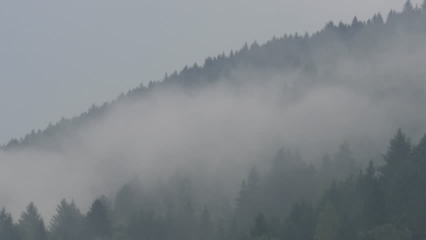 Mountain Landscape with White Fog Over the Forest in a Morning Day. Cold Steam Over the Trees in Alpine Nature.