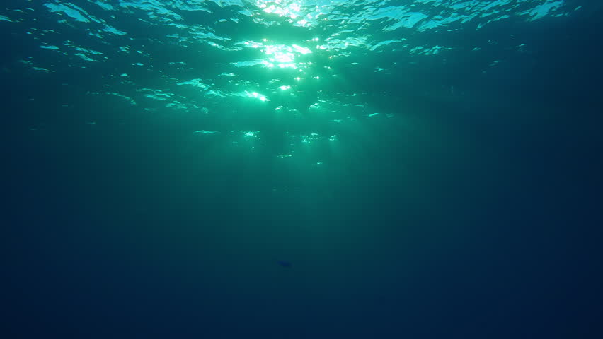 Sunlight at sunset penetrates below the surface and scatters in the water column. Underwater view of the water surface with small waves refracting the sun's rays.