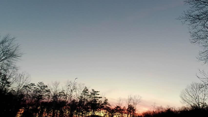 A timeline of a sunset over a hillside of trees. The season is winter.  It is breezy.  The sky goes from a blue, pink and yellow skyline and fades to black. 
