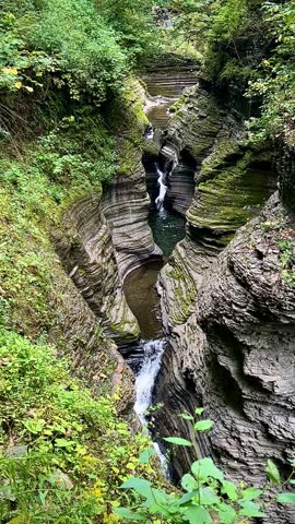Waterfalls Pouring into a Winding Stream in a Gorge (Watkins Glen State Park, Watkins Glen, New York, USA)
