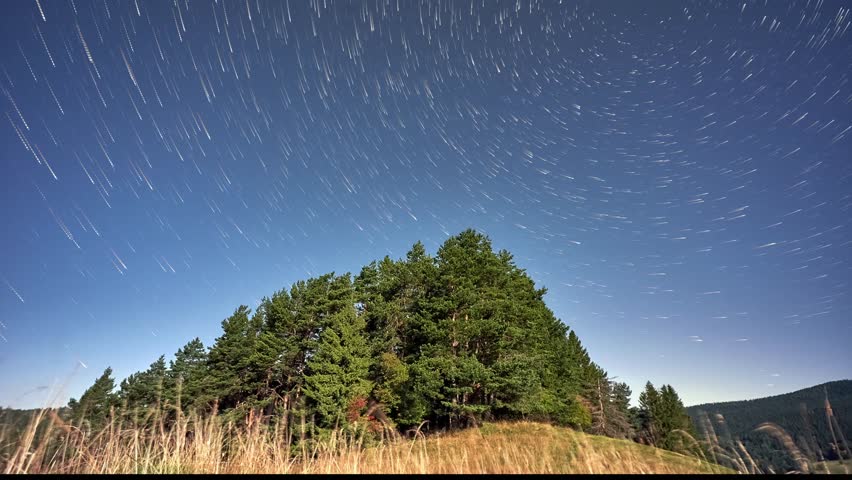Night sky star trails timelapse over pine trees forest in bright moonlight.