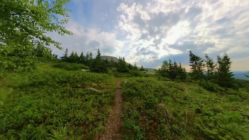 A picturesque view of the Southern Urals mountain range in Russia, featuring a narrow hiking trail winding through vibrant green undergrowth and scattered evergreen trees. The scene captures the natur