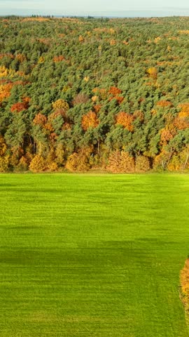 Autumn aerial landscape of Montferland hills and fields