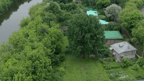 Drone Slowly Orbiting above Large Tree near