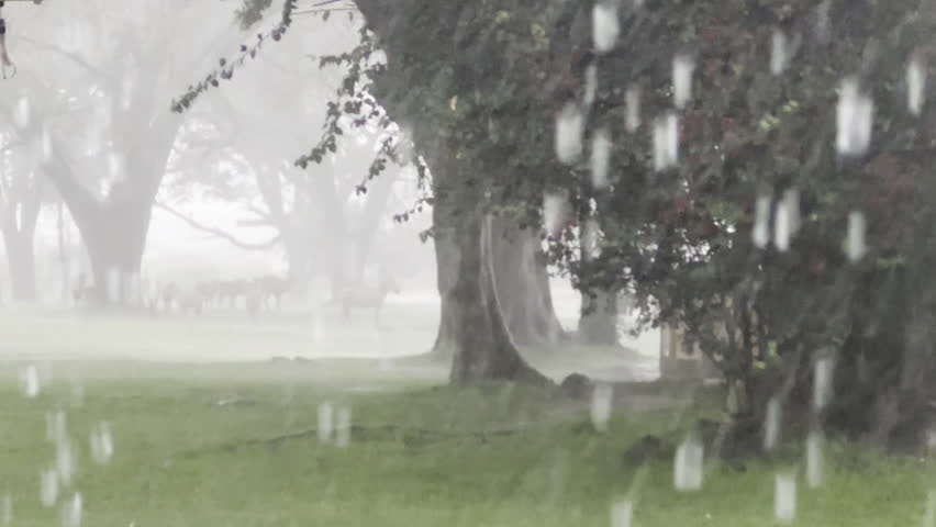 Rain falling near Lake Naivasha in Kenya, creating a calm and atmospheric scene that highlights nature, fresh landscapes, and the beauty of East African weather.