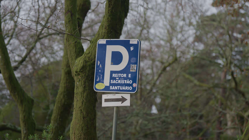 Blue parking sign with right arrow mounted near trees