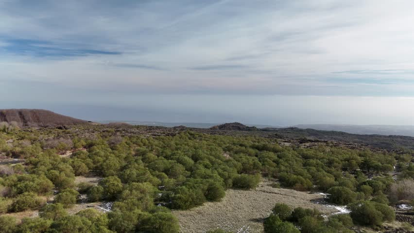Aerial view of lush green forest on rocky landscape under cloudy sky