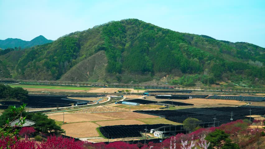 Vast agricultural landscape featuring black ginseng shade structures and rural fields nestled between rolling green mountains in Hongdo Village Geumsan South Korea