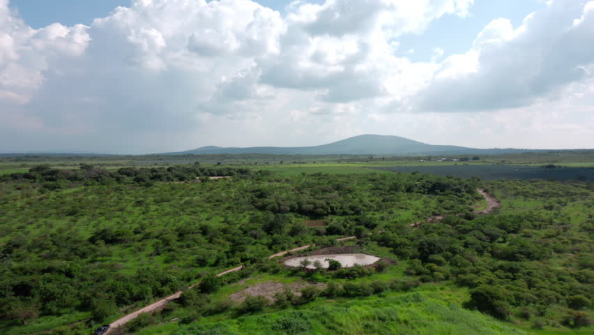 Drone aerial over green scrubland with a small pond and winding dirt road, distant hills under dramatic clouds. Scenic rural wilderness landscape.