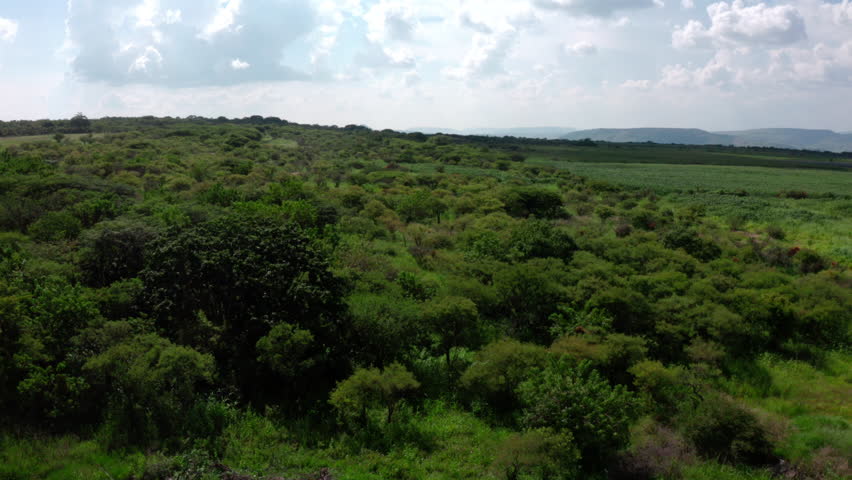 Drone aerial view of a small water reservoir beside a dirt road, surrounded by green countryside shrubland with cloud reflections in the pond on a bright day.