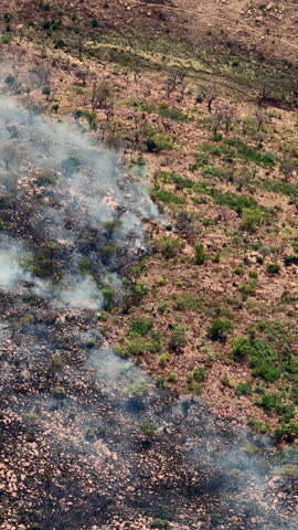 Drone view of an uncontrolled wilderness blaze spreading through a large natural park