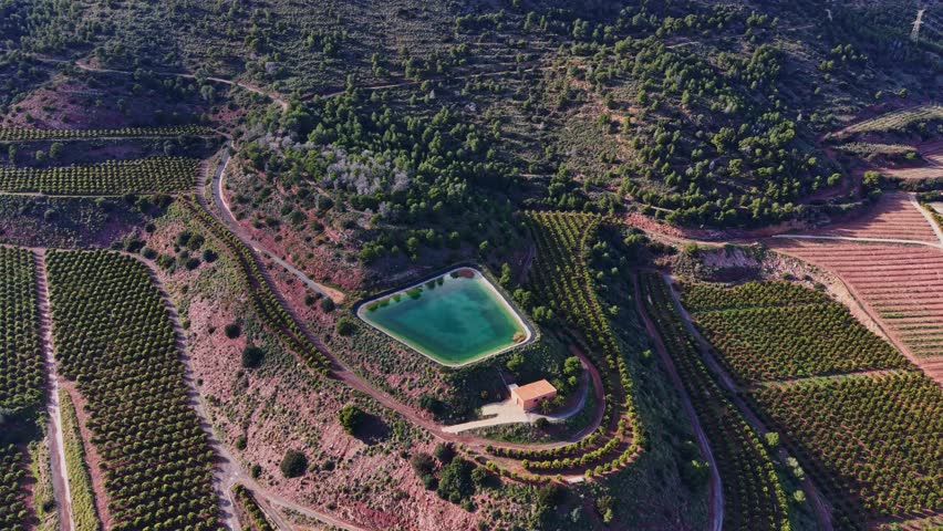Aerial view shows a green water pond surrounded by rows of vineyards and hills in Spain. The sunlight highlights the patterns of the land. People can be seen working nearby.