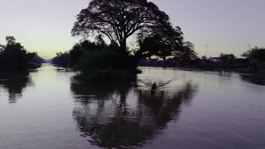 Large tree growing on a small river island at dusk in Don Det, Laos, with a lone boat passing and soft reflections.
