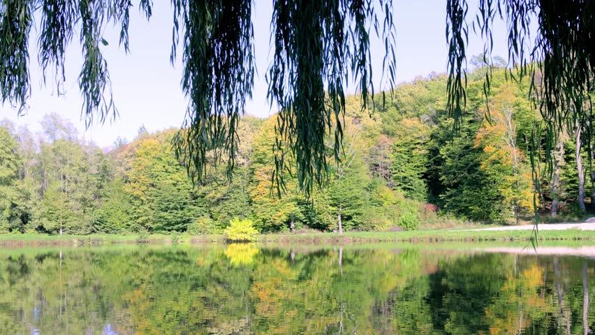 landscape with trees reflected in the lake water on a sunny autumn morning 4k video