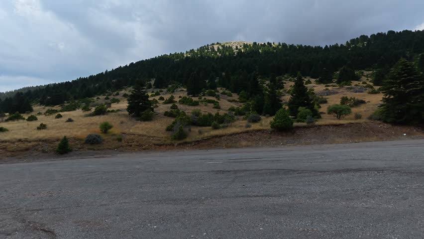 Cloudy alpine mountain landscape with empty ski resort road and fir forests