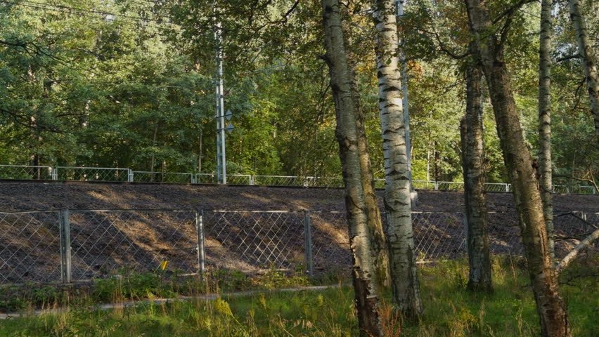 The passenger electric train goes nearby summer park, train of the Russian Railway company, walking people, Russia, St.Petersburg