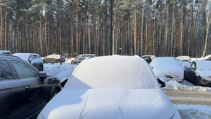 View of a winter parking lot filled with cars heavily covered in fresh snow after a blizzard, backed by a serene snow-laden pine forest. Highlights the challenges of cold weather driving and vehicle maintenance.