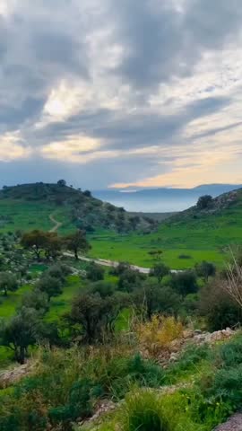 A panoramic view of lush green rolling hills featuring olive groves and scattered trees. The scene shows a winding dirt road, a pickup truck parked on the side, and a dramatic cloudy sky with soft sun