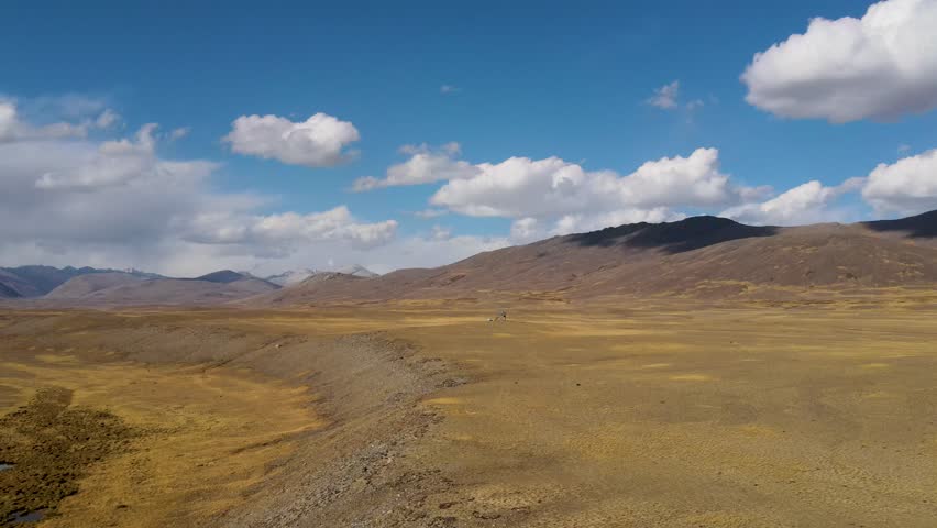 Aerial view of the vast Deosai plains, a high-altitude plateau, with rolling hills and distant mountains under a blue sky, Astore, Gilgit, Pakistan.
