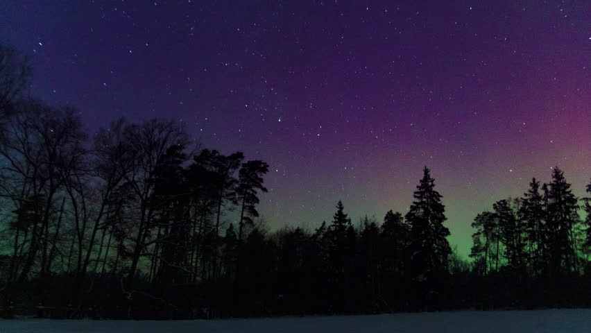Aurora over forest. Calm night timelapse with northern lights.