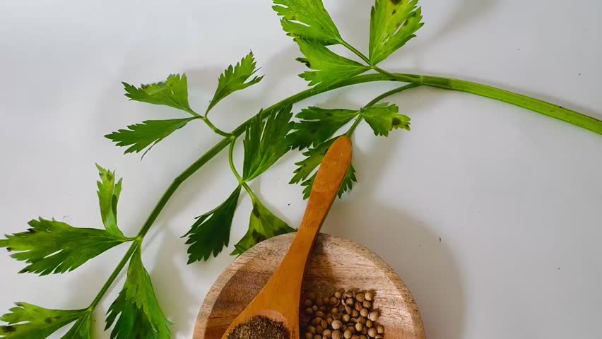 Coriander (Coriandrum sativum) dried whole seed (on wooden plate), ground seed or powder (on wooden spoon), and leaves against the white background. Cooking ingredient.