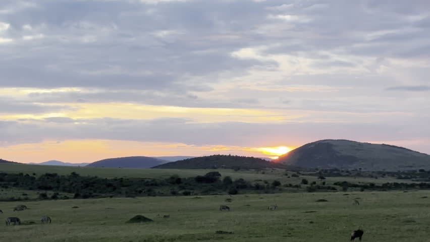 Golden sunset light falling over the lush green plains of Masai Mara, creating a peaceful and atmospheric African savannah scene.