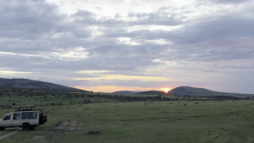 Golden sunset light falling over the lush green plains of Masai Mara, creating a peaceful and atmospheric African savannah scene.