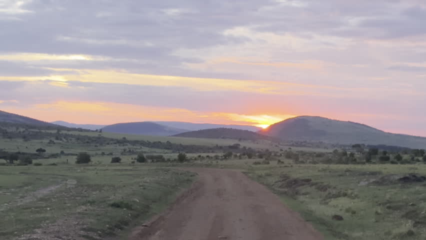 Golden sunset light falling over the lush green plains of Masai Mara, creating a peaceful and atmospheric African savannah scene.