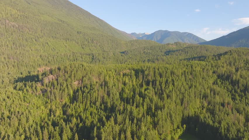 Run up the mountains in the summertime