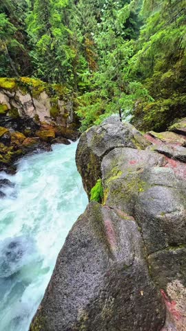 Powerful River Rapids Flowing Through Lush Green Forest and Mossy Rocks in Wilderness