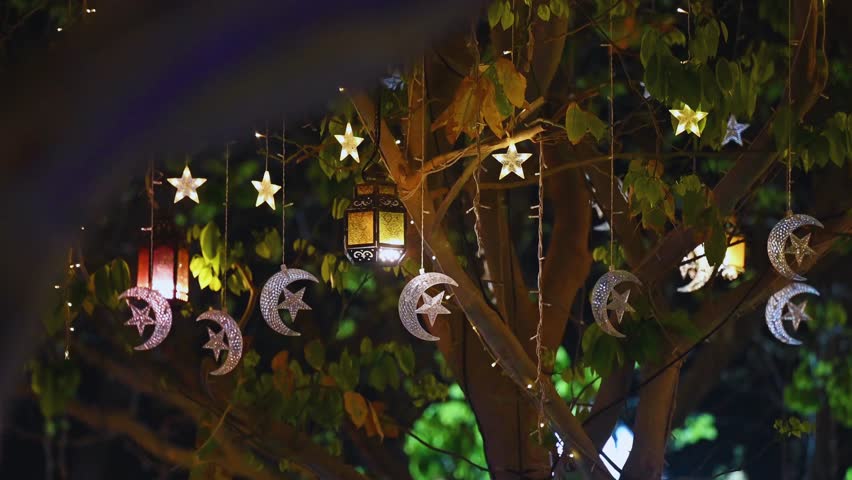 Festive decorated tree glowing with stars and lanterns at night