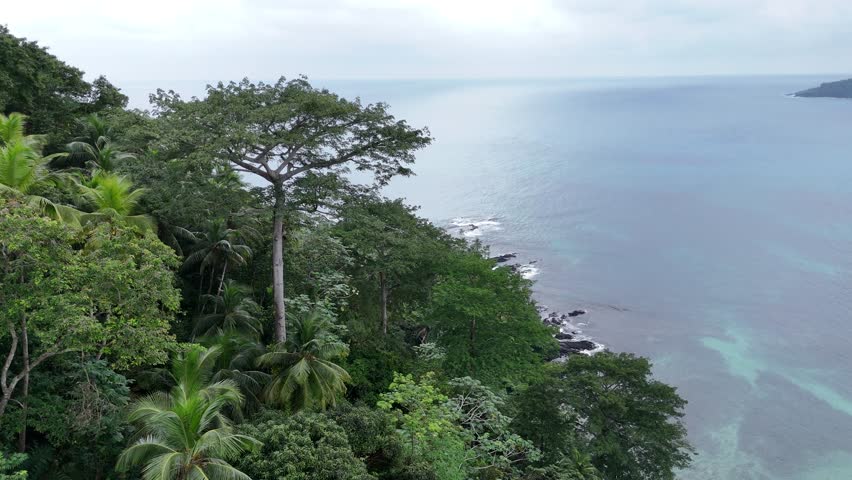 cinematic aerial view overlooking the vast and untouched equatorial forest of Sao Tome Island, Africa overlooking the Atlantic Ocean