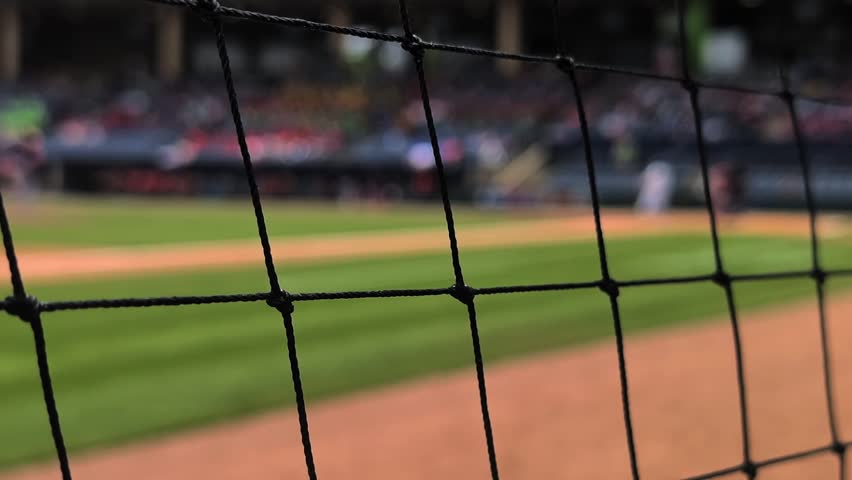 Infield throw back to pitcher, net in foreground, stadium fans in background