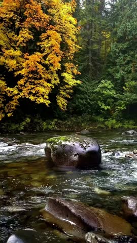 big rock in the river