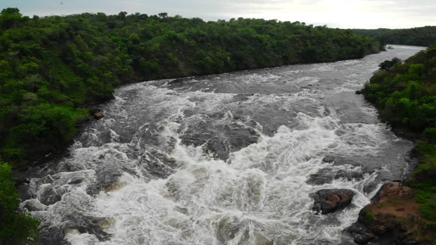 Dramatic Rainforest River Scene, Exciting Aerial Perspective Of Wild Rapids Amidst Dense Green Canopy. Media