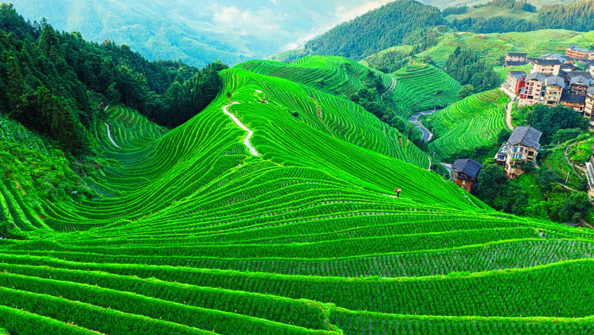 
Aerial shot of spectacular green rice terrace fields and winding road on the mountain in Guilin, China. Famous Longji Terraced Fields natural landscape in summer.