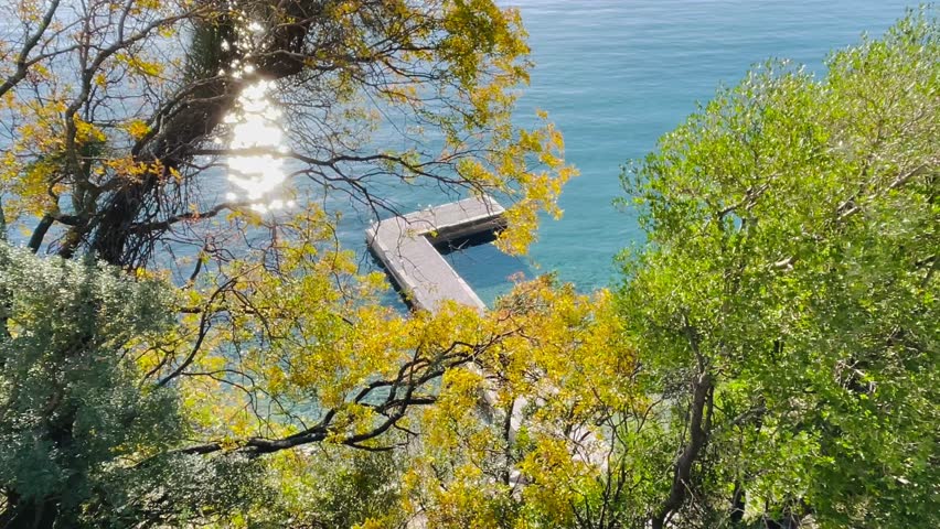 aerial view sunlit dock turquoise sea framed by leafy branches and eucalyptus, wooden Lshaped pier extending into calm water