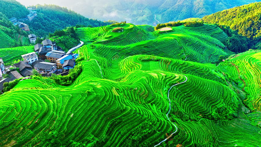 Aerial shot of spectacular green rice terrace fields and traditional village on the mountain in Guilin, China. Famous Longji Terraced Fields natural landscape in summer.