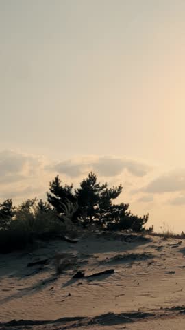 Horse riding. Horse love. Silhouettes of a young woman and her horse, at sunset, on sky background and sun rays backlight. friendship between man and horse. Equitation.