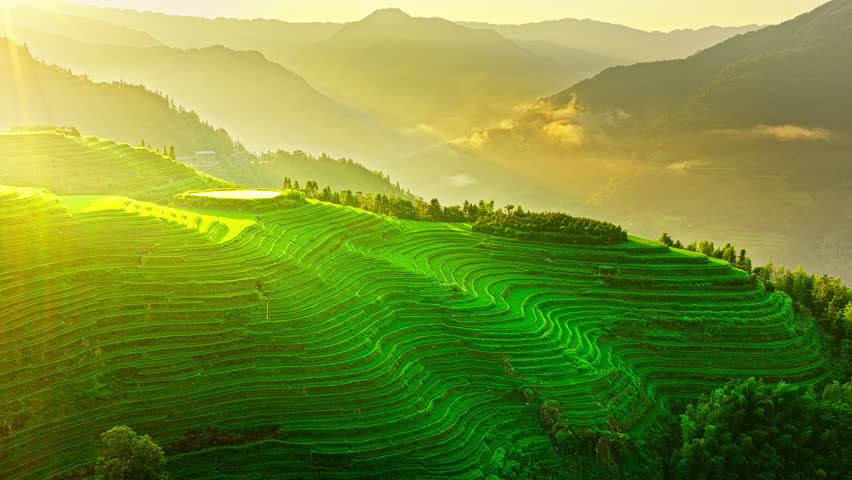 Aerial shot of spectacular green rice terrace fields with misty mountain range at sunrise in Guilin, China. Famous Longji Terraced Fields natural landscape in summer.