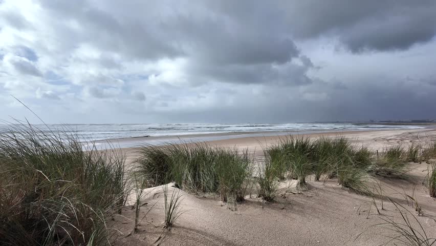 Natural coastal sand dunes covered with beach grass overlooking the Atlantic ocean under cloudy sky, calm seaside landscape with natural textures

