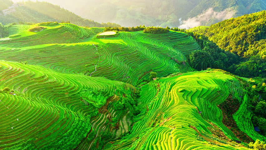 Aerial shot of spectacular green rice terrace fields natural landscape at sunrise in Guilin, China. Famous Longji Terraced Fields scenery in summer.