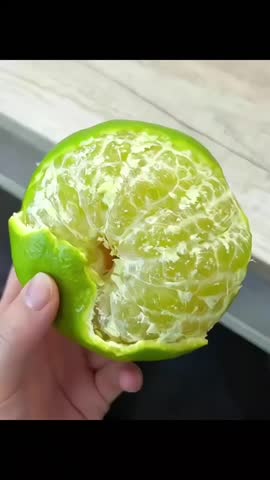 Fresh Peeled Green Citrus Fruit Held in Hand