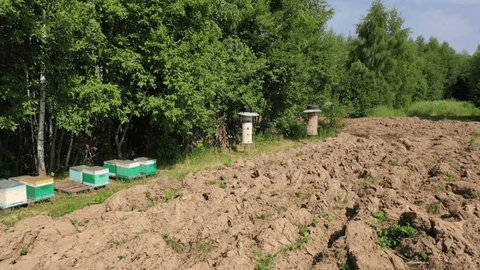 Aerial View Apiary near Forest